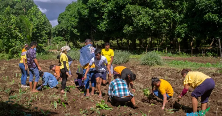 Cooperative farmers working together in a vegetable field in Gloria, Oriental Mindoro